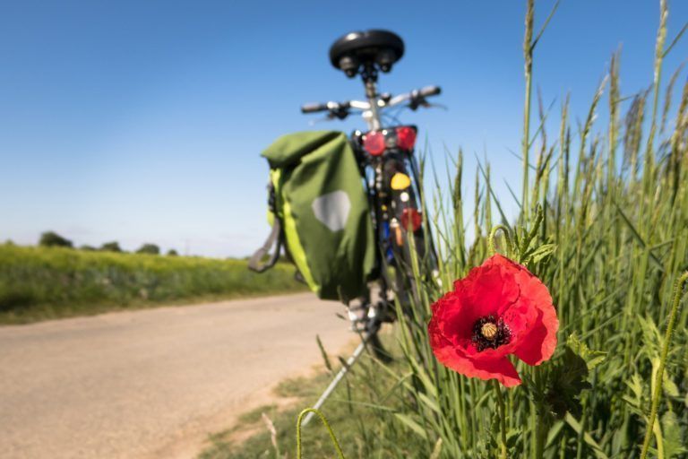 Lloguer de bici gratuït amb la teva reserva online!