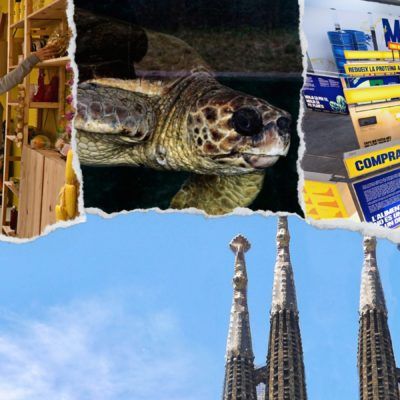 6 Activitats familiars per fer a Barcelona en un cap de setmana