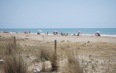 Curiosidades sobre las Playas del Delta del Llobregat