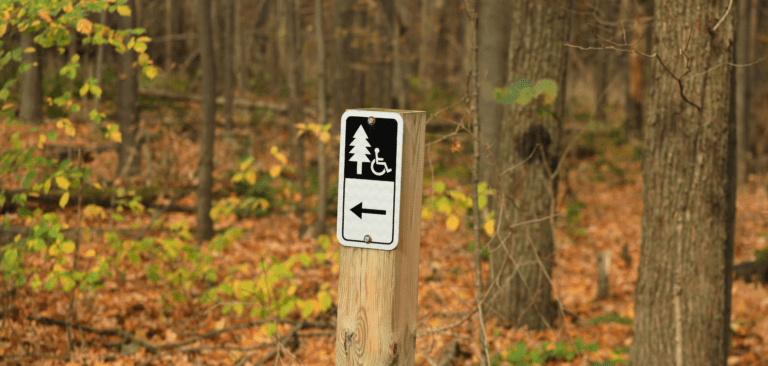 Rutas y parques naturales accesibles en silla de ruedas