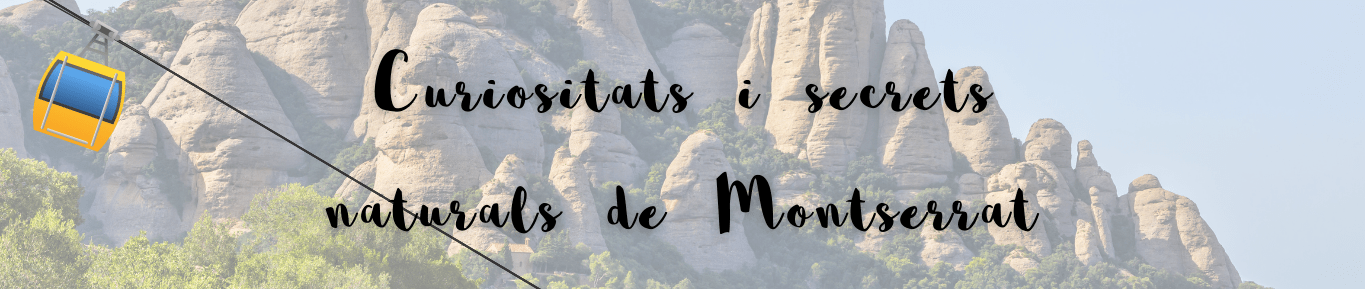 Curiositats i secrets naturals de Montserrat Fundesplai