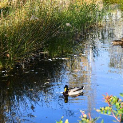 Centre Esplai referma el seu compromís amb la sostenibilitat