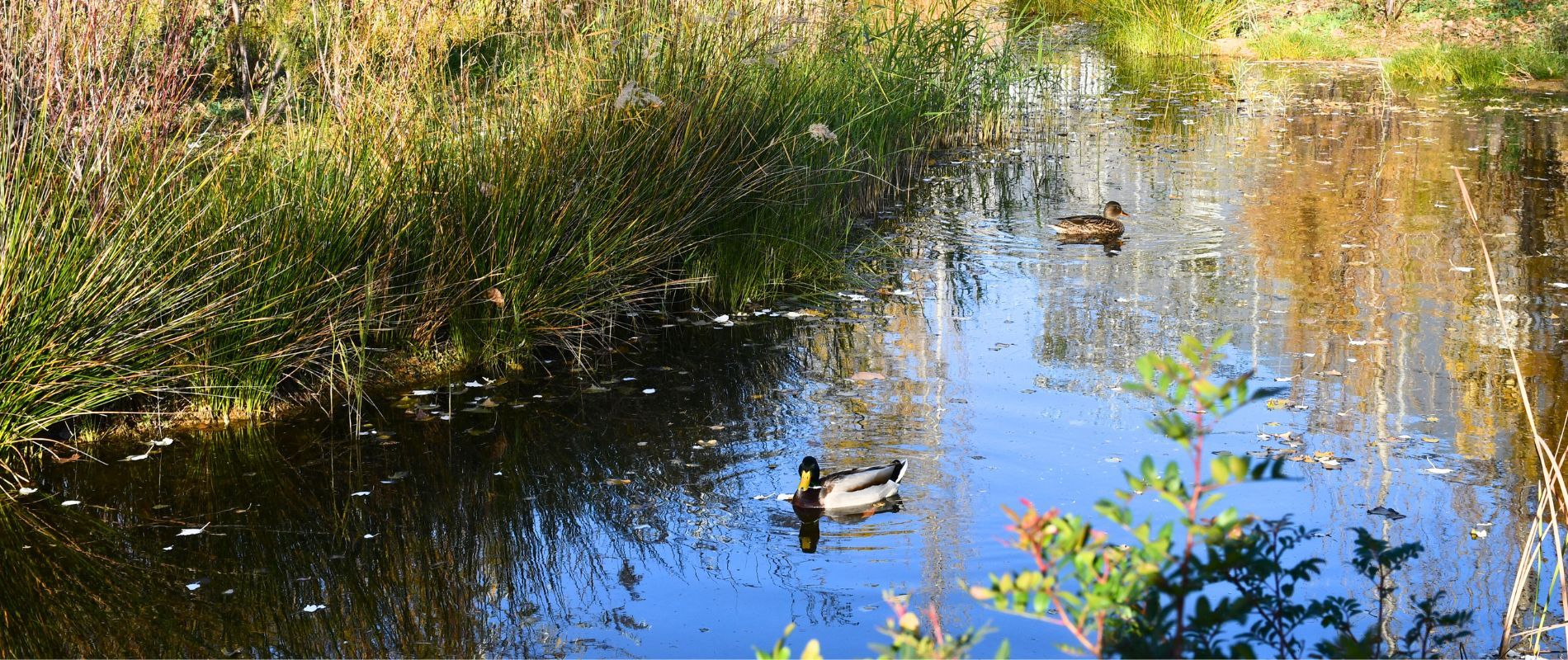 Centre Esplai referma el seu compromís amb la sostenibilitat